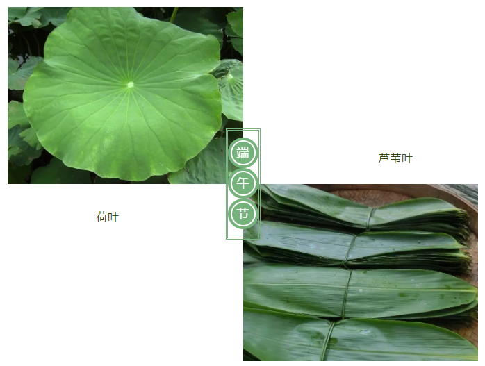 DG视讯医纺
