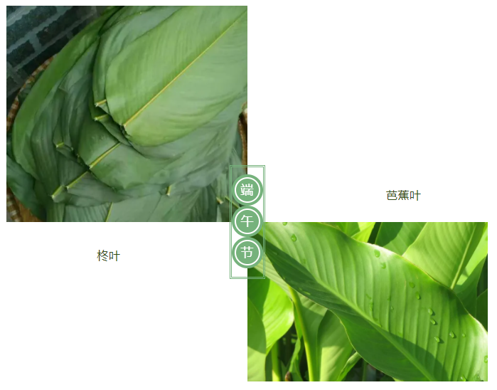 DG视讯医纺