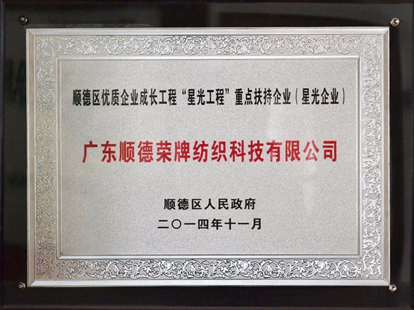 DG视讯-2012年获顺德政府颁发“星光企业”称号