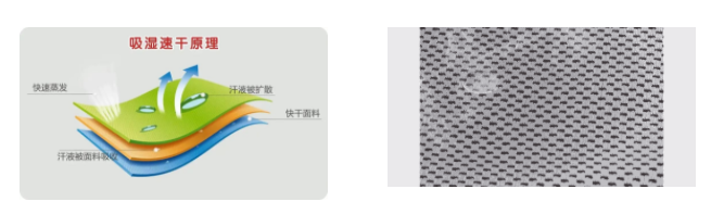 DG视讯医用纺织