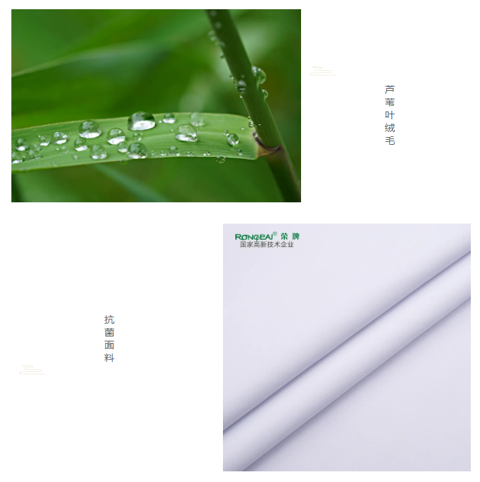 DG视讯医纺