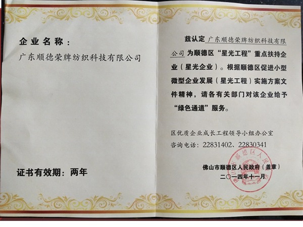 DG视讯荣获政府重点扶持企业